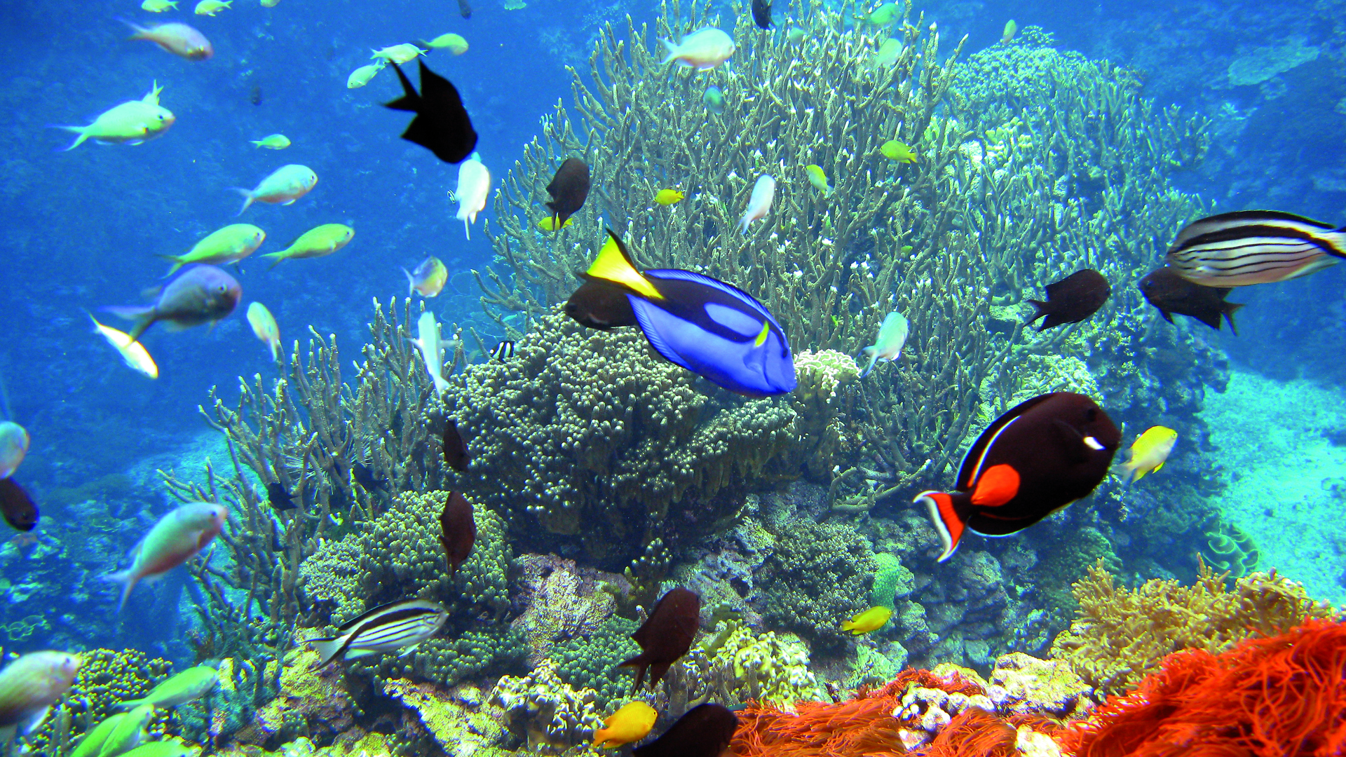 Vacature Dierverzorger Ocean